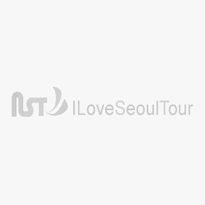 [No Shopping] Suwon Hwaseong Night Tour  reviews